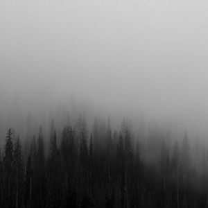 Welcome to my Closet!